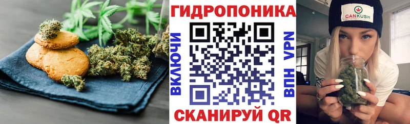 darknet официальный сайт  сколько стоит  Мирный  Canna-Cookies конопля 