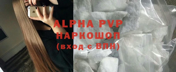 спайс Корсаков