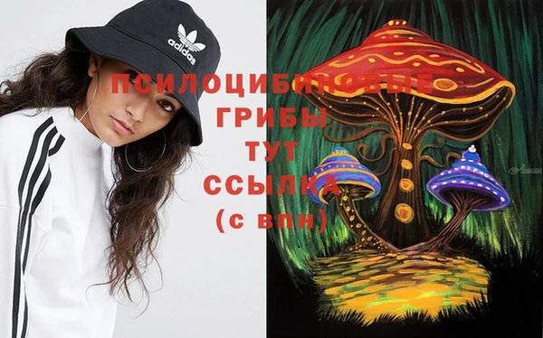 спайс Корсаков