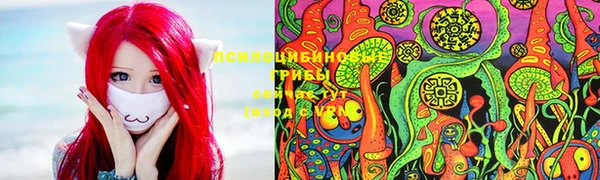 спайс Корсаков
