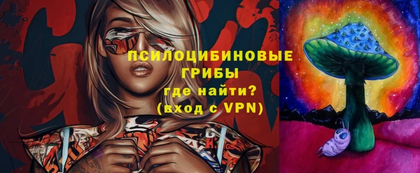 спайс Корсаков