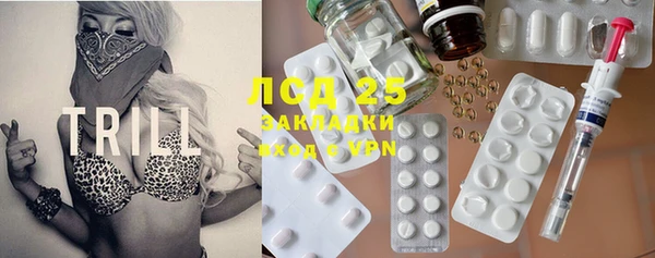 спайс Корсаков