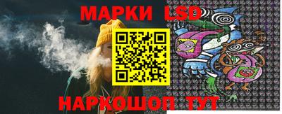 apvp Гатчина