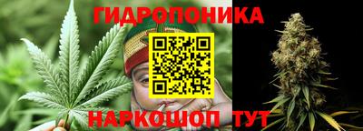 apvp Гатчина