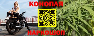 apvp Гатчина