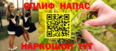 спайс Гагарин
