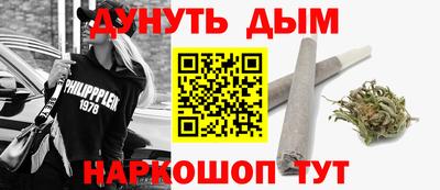 apvp Гатчина