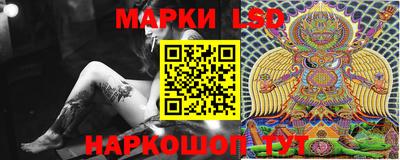 apvp Гатчина