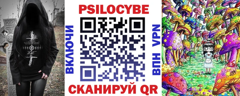 Галлюциногенные грибы Psilocybe  блэк спрут ССЫЛКА  нарко площадка Telegram  Мирный 