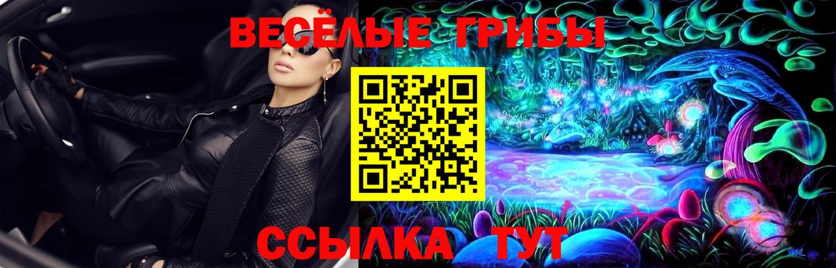 Мирный  Псилоцибиновые грибы Magic Shrooms  Вход с VPN 