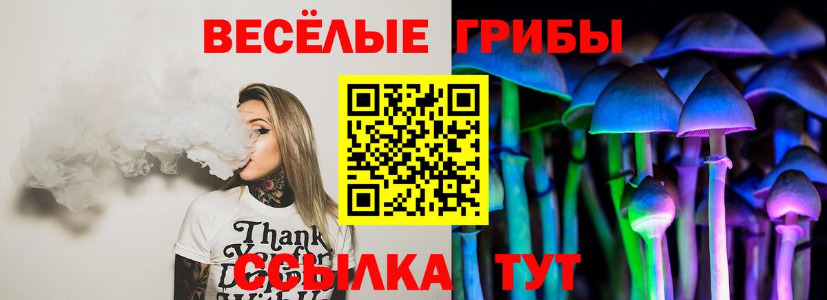 Псилоцибиновые грибы прущие грибы Мирный